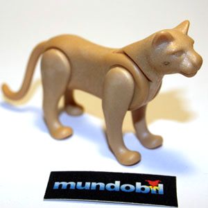 Puma/mountain lion/cougar mundobil